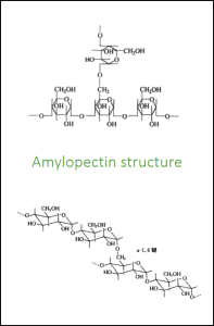 Molecular Structure Diagram 2