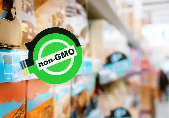 Non-GMO and Allergen-Free